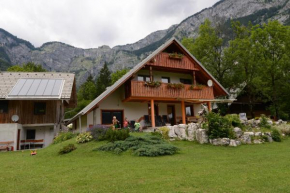 Mežnar's beautiful nature holiday house Ukanc